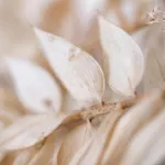 La De Rose En Bord De Casa de Férias *