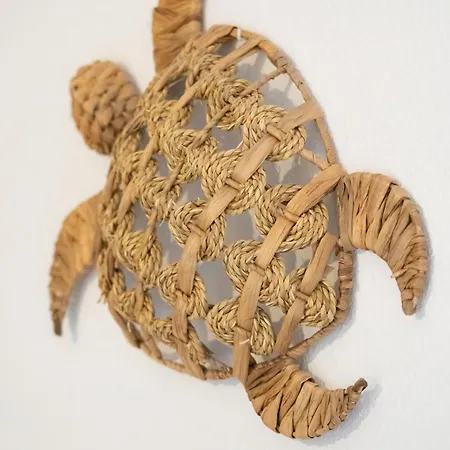 La De Rose En Bord De Le Barcarès