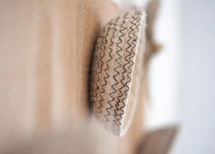 La De Rose En Bord De 別荘 *