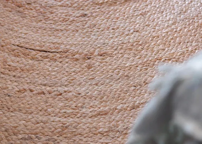 La De Rose En Bord De * Le Barcarès