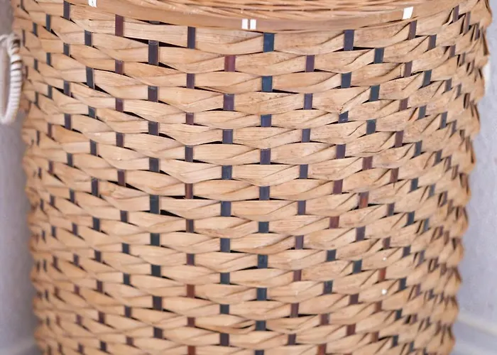 La De Rose En Bord De 別荘 *