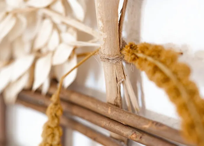 La De Rose En Bord De * Le Barcarès