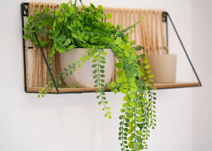 別荘 La De Rose En Bord De