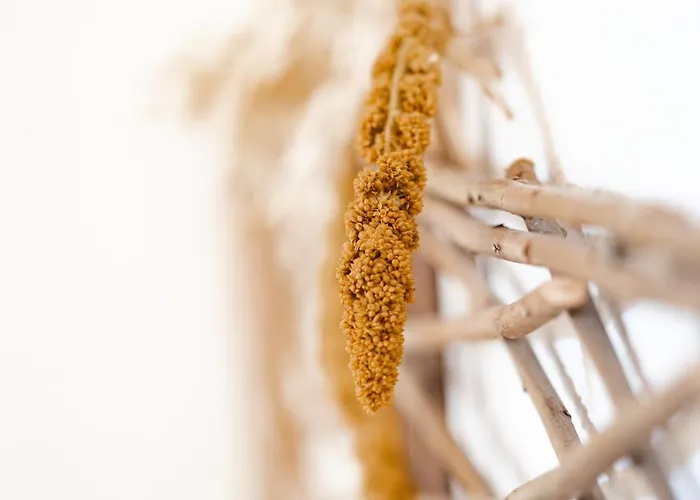 La De Rose En Bord De 別荘